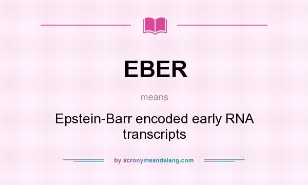 What does EBER mean? It stands for Epstein-Barr encoded early RNA transcripts