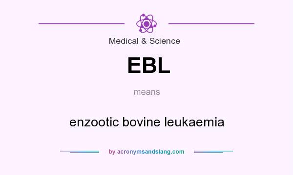 What does EBL mean? It stands for enzootic bovine leukaemia
