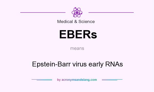 What does EBERs mean? It stands for Epstein-Barr virus early RNAs