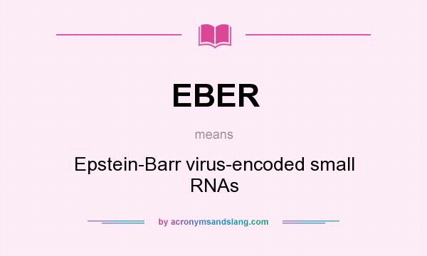 What does EBER mean? It stands for Epstein-Barr virus-encoded small RNAs