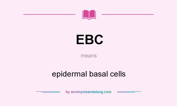 What does EBC mean? It stands for epidermal basal cells