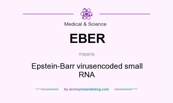 What does EBER mean? It stands for Epstein-Barr virusencoded small RNA