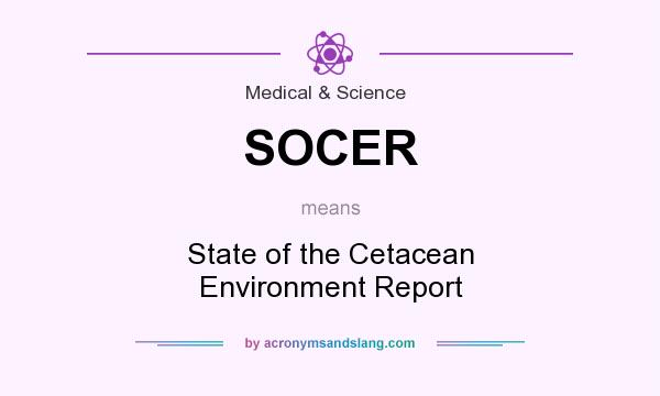 What does SOCER mean? It stands for State of the Cetacean Environment Report