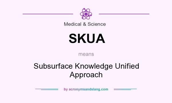 What does SKUA mean? It stands for Subsurface Knowledge Unified Approach