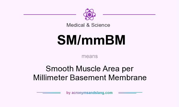 What does SM/mmBM mean? It stands for Smooth Muscle Area per Millimeter Basement Membrane