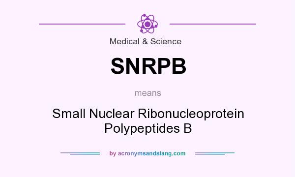 What does SNRPB mean? It stands for Small Nuclear Ribonucleoprotein Polypeptides B