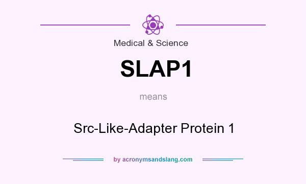 What does SLAP1 mean? It stands for Src-Like-Adapter Protein 1