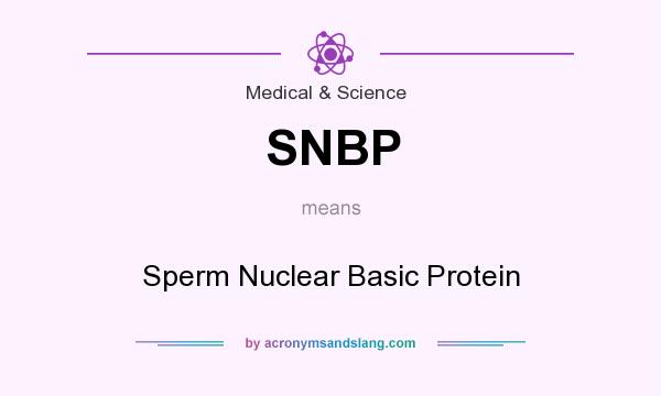What does SNBP mean? It stands for Sperm Nuclear Basic Protein