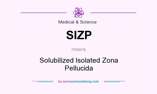 What does SIZP mean? It stands for Solubilized Isolated Zona Pellucida
