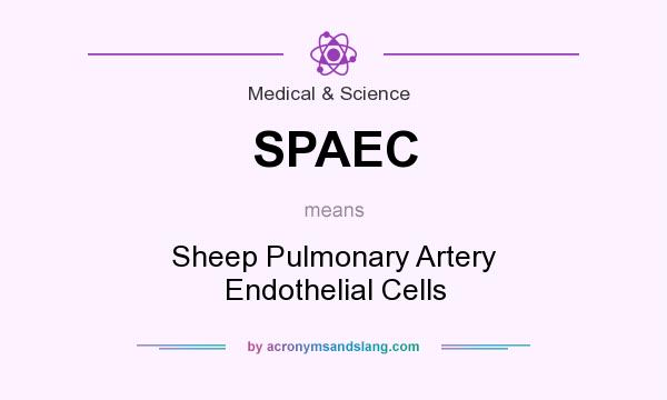 What does SPAEC mean? It stands for Sheep Pulmonary Artery Endothelial Cells