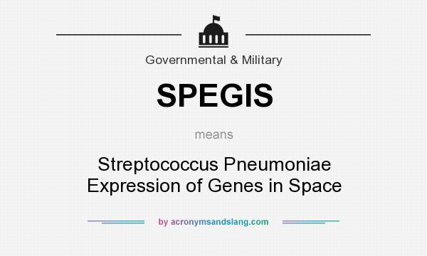 What does SPEGIS mean? It stands for Streptococcus Pneumoniae Expression of Genes in Space