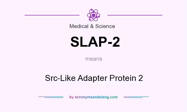 What does SLAP-2 mean? It stands for Src-Like Adapter Protein 2