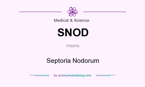 What does SNOD mean? It stands for Septoria Nodorum