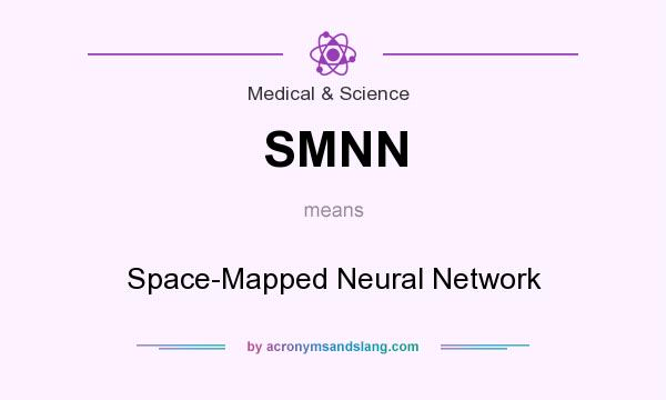 What does SMNN mean? It stands for Space-Mapped Neural Network