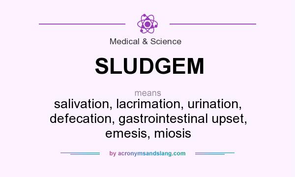 What does SLUDGEM mean? It stands for salivation, lacrimation, urination, defecation, gastrointestinal upset, emesis, miosis