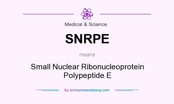 What does SNRPE mean? It stands for Small Nuclear Ribonucleoprotein Polypeptide E