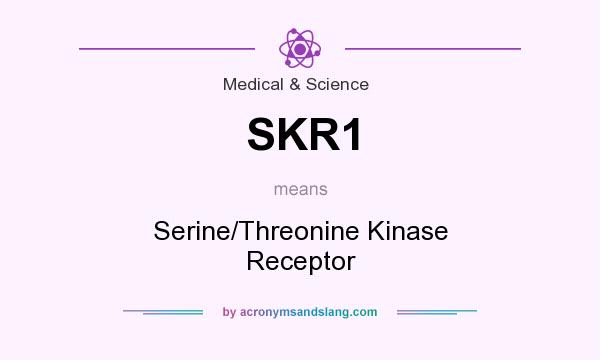 What does SKR1 mean? It stands for Serine/Threonine Kinase Receptor