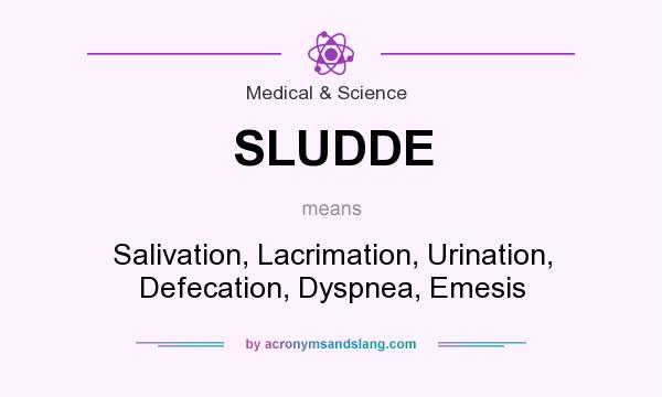 What does SLUDDE mean? It stands for Salivation, Lacrimation, Urination, Defecation, Dyspnea, Emesis