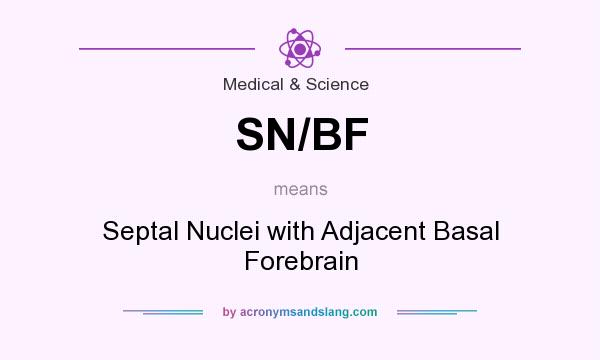 What does SN/BF mean? It stands for Septal Nuclei with Adjacent Basal Forebrain