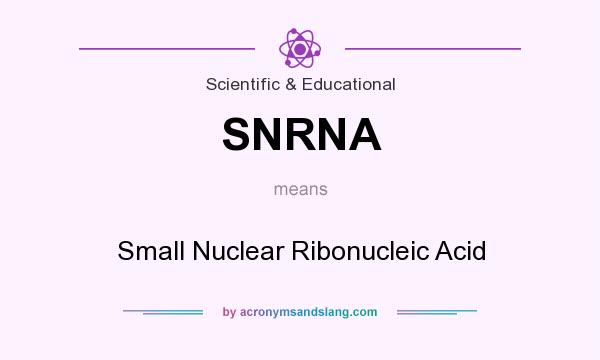 What does SNRNA mean? It stands for Small Nuclear Ribonucleic Acid