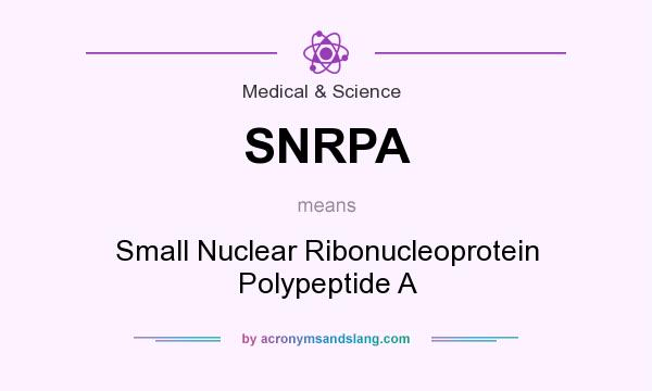 What does SNRPA mean? It stands for Small Nuclear Ribonucleoprotein Polypeptide A