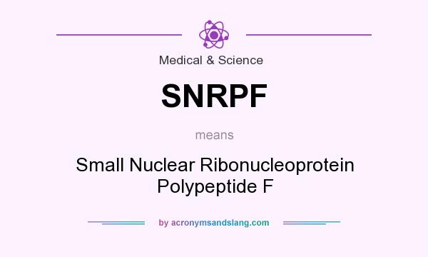 What does SNRPF mean? It stands for Small Nuclear Ribonucleoprotein Polypeptide F