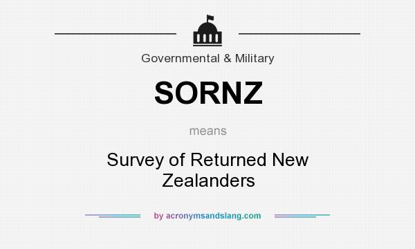 What does SORNZ mean? It stands for Survey of Returned New Zealanders