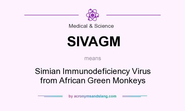 What does SIVAGM mean? It stands for Simian Immunodeficiency Virus from African Green Monkeys