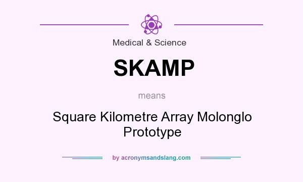 What does SKAMP mean? It stands for Square Kilometre Array Molonglo Prototype