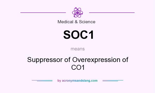 What does SOC1 mean? It stands for Suppressor of Overexpression of CO1