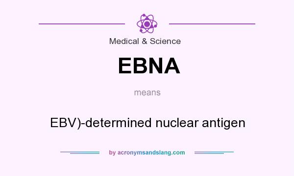 What does EBNA mean? It stands for EBV)-determined nuclear antigen