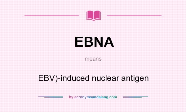 What does EBNA mean? It stands for EBV)-induced nuclear antigen