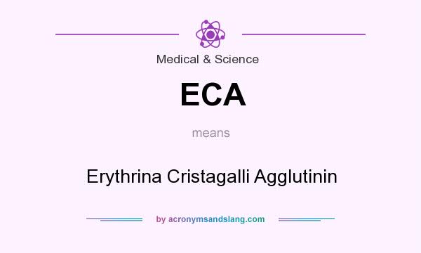 What does ECA mean? It stands for Erythrina Cristagalli Agglutinin