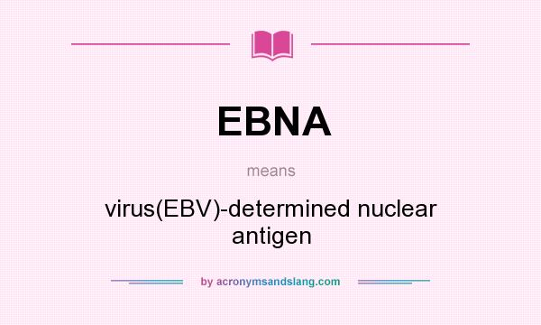What does EBNA mean? It stands for virus(EBV)-determined nuclear antigen