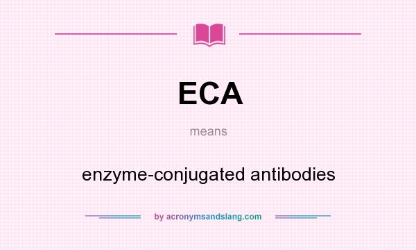 What does ECA mean? It stands for enzyme-conjugated antibodies