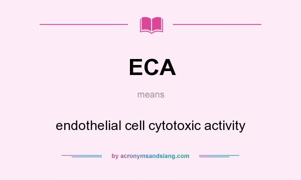 What does ECA mean? It stands for endothelial cell cytotoxic activity