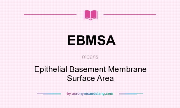 What does EBMSA mean? It stands for Epithelial Basement Membrane Surface Area