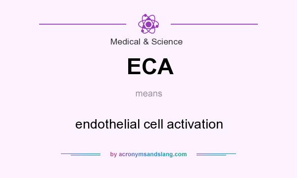 What does ECA mean? It stands for endothelial cell activation