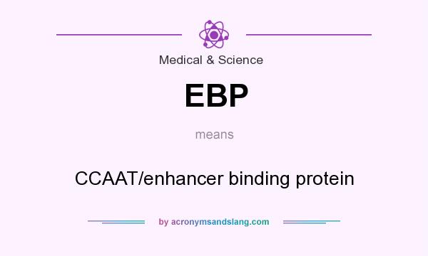 What does EBP mean? It stands for CCAAT/enhancer binding protein