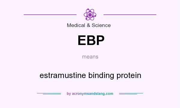 What does EBP mean? It stands for estramustine binding protein