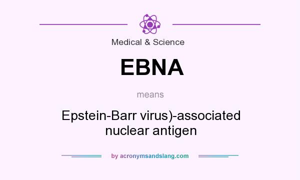 What does EBNA mean? It stands for Epstein-Barr virus)-associated nuclear antigen