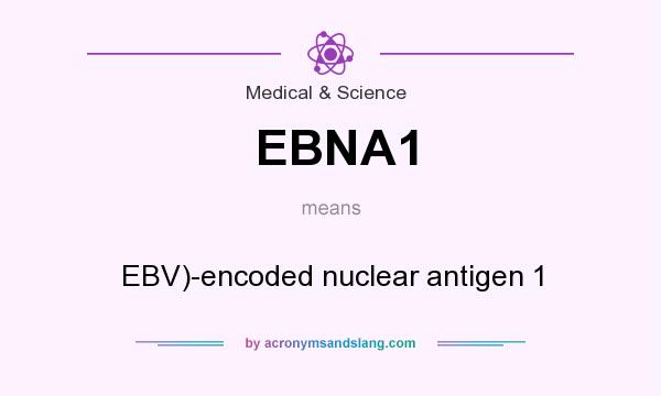 What does EBNA1 mean? It stands for EBV)-encoded nuclear antigen 1