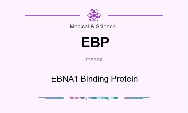 What does EBP mean? It stands for EBNA1 Binding Protein