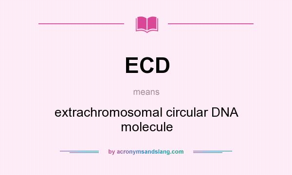 What does ECD mean? It stands for extrachromosomal circular DNA molecule