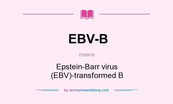 What does EBV-B mean? It stands for Epstein-Barr virus (EBV)-transformed B