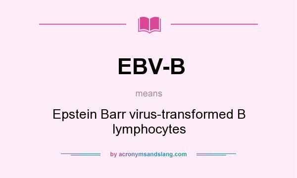 What does EBV-B mean? It stands for Epstein Barr virus-transformed B lymphocytes