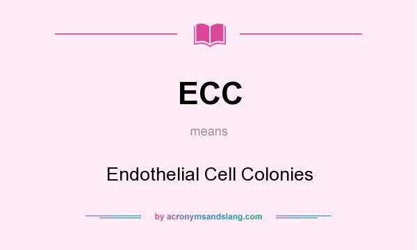 What does ECC mean? It stands for Endothelial Cell Colonies