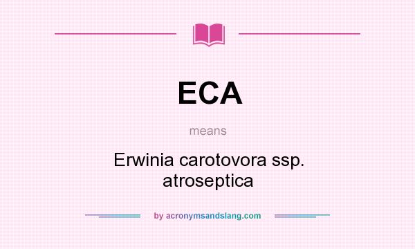 What does ECA mean? It stands for Erwinia carotovora ssp. atroseptica