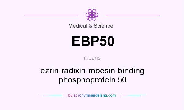 What does EBP50 mean? It stands for ezrin-radixin-moesin-binding phosphoprotein 50