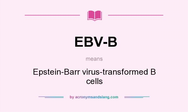 What does EBV-B mean? It stands for Epstein-Barr virus-transformed B cells